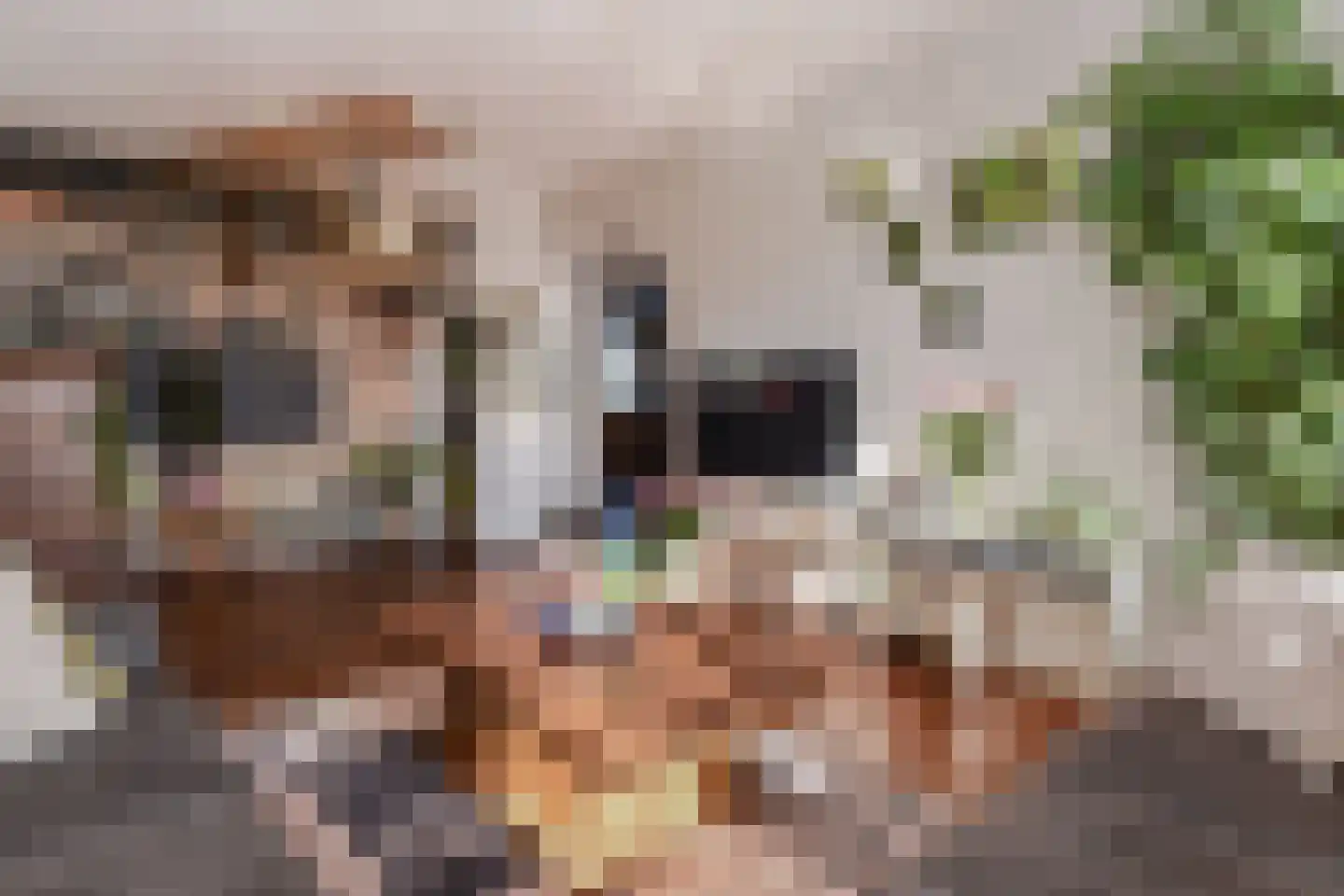 Doctor van Noortstraat 73 Leidschendam thumbnail 12