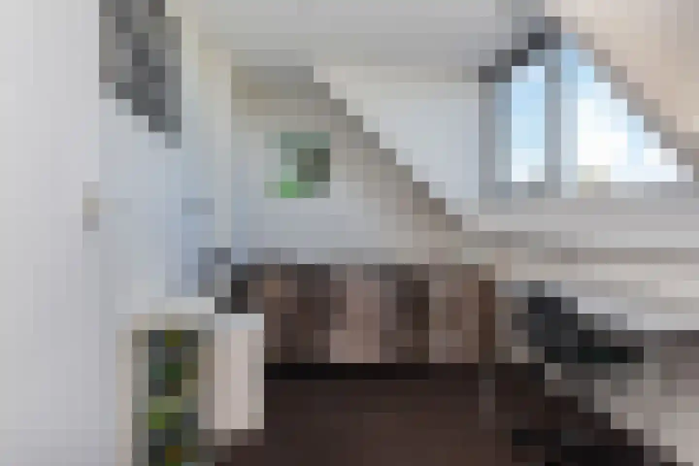 Doctor van Noortstraat 73 Leidschendam thumbnail 35