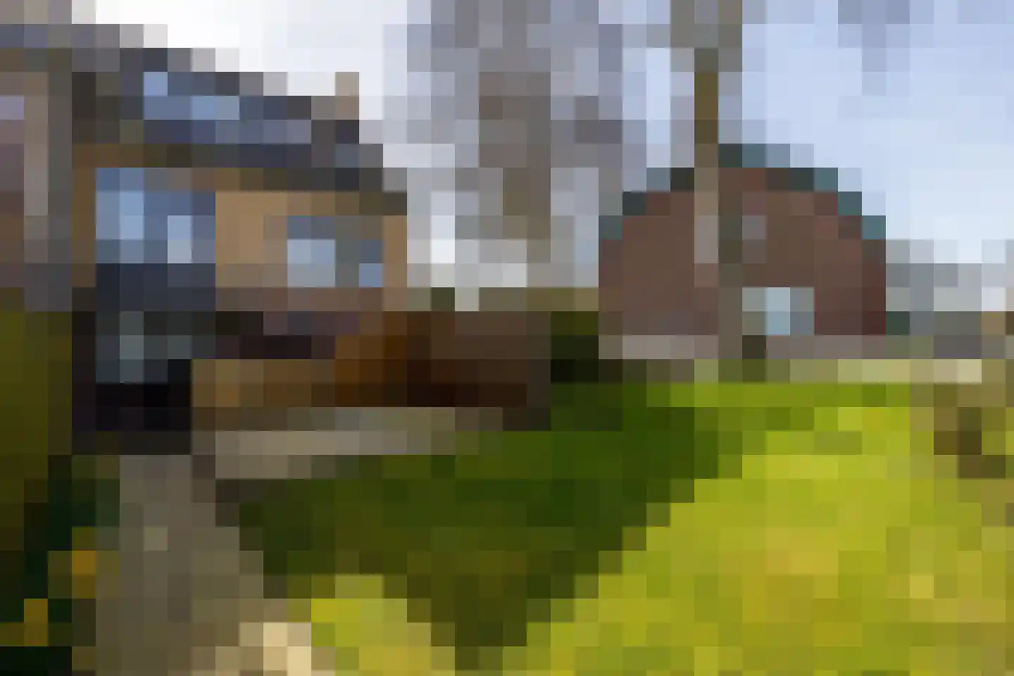 Doctor van Noortstraat 95 A Leidschendam thumbnail 36