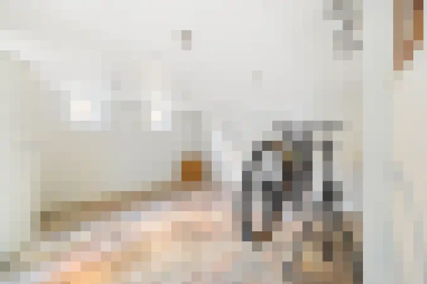 Doctor van Noortstraat 95 B Leidschendam thumbnail 33