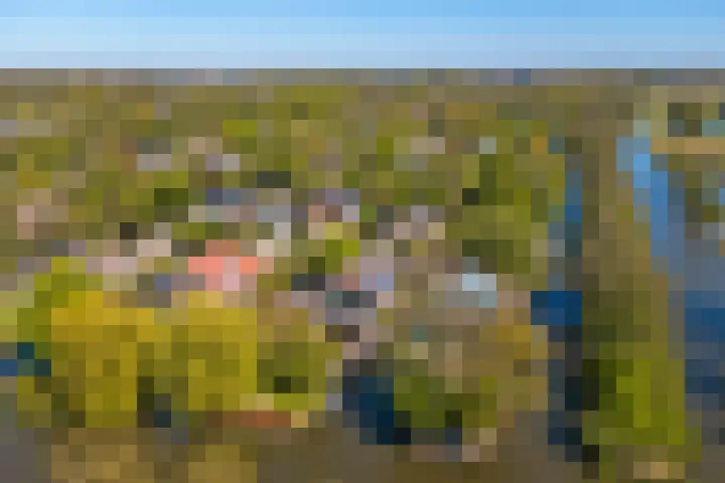 Dodaars 5 Broek op Langedijk