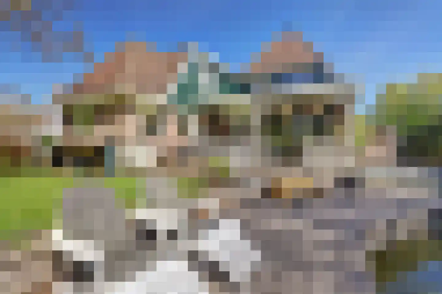 Dodaars 5 Broek op Langedijk foto 3