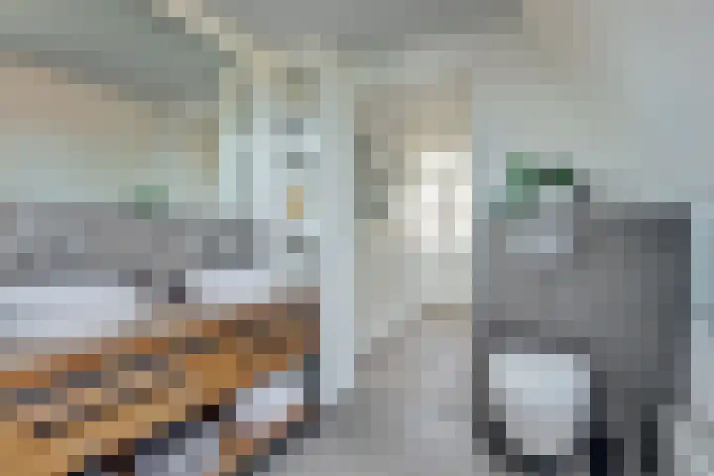 Dodaars 5 Broek op Langedijk thumbnail 34