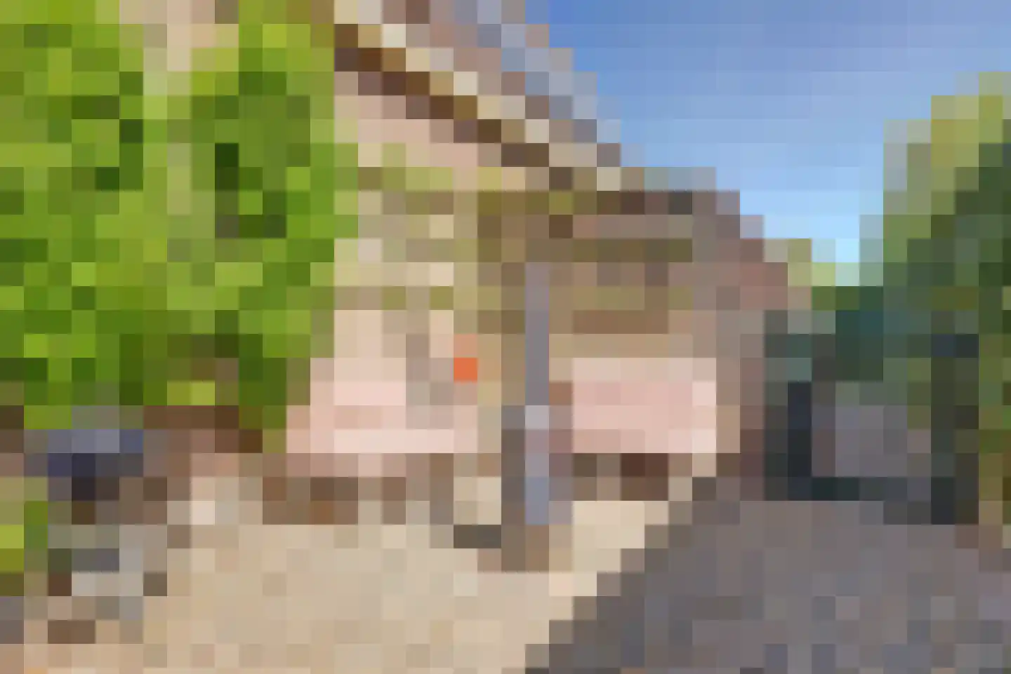 Dodaars 5 Broek op Langedijk thumbnail 53