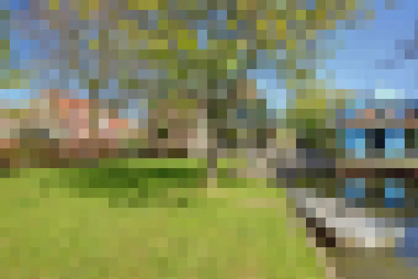 Dodaars 5 Broek op Langedijk thumbnail 58