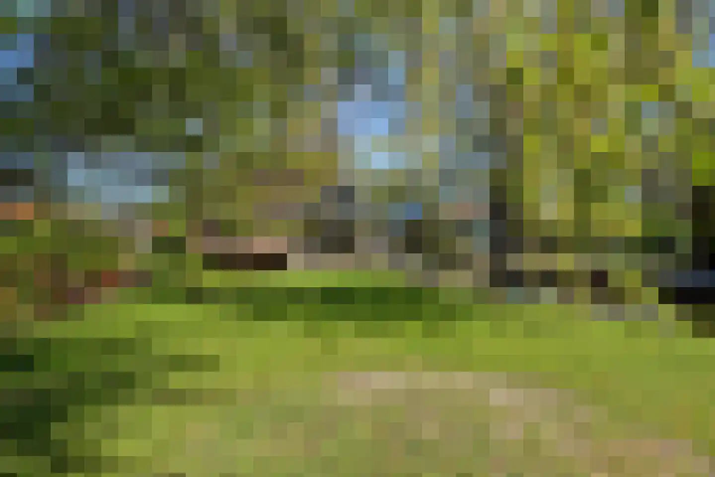 Dodaars 5 Broek op Langedijk thumbnail 59