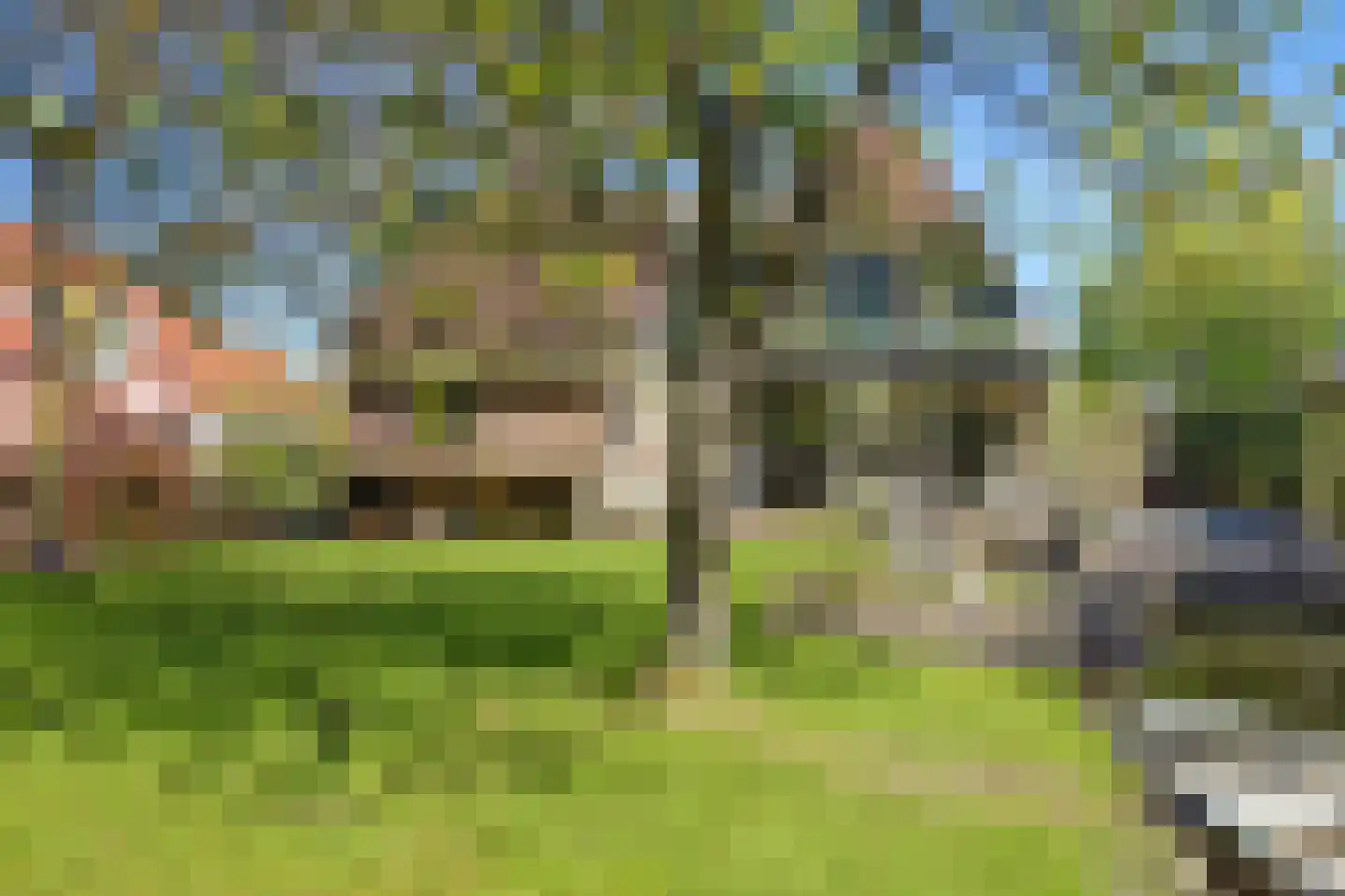 Dodaars 5 Broek op Langedijk thumbnail 61