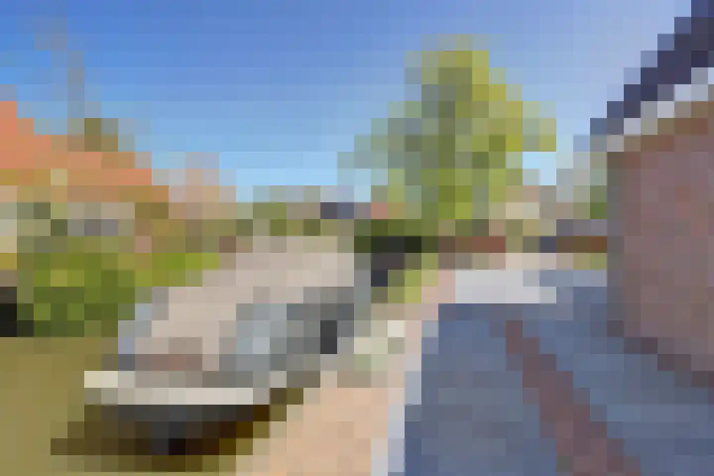 Dodaars 5 Broek op Langedijk thumbnail 64