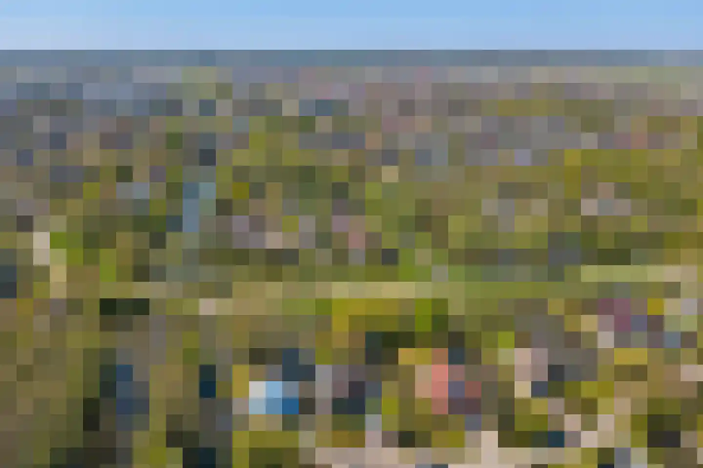 Dodaars 5 Broek op Langedijk thumbnail 70