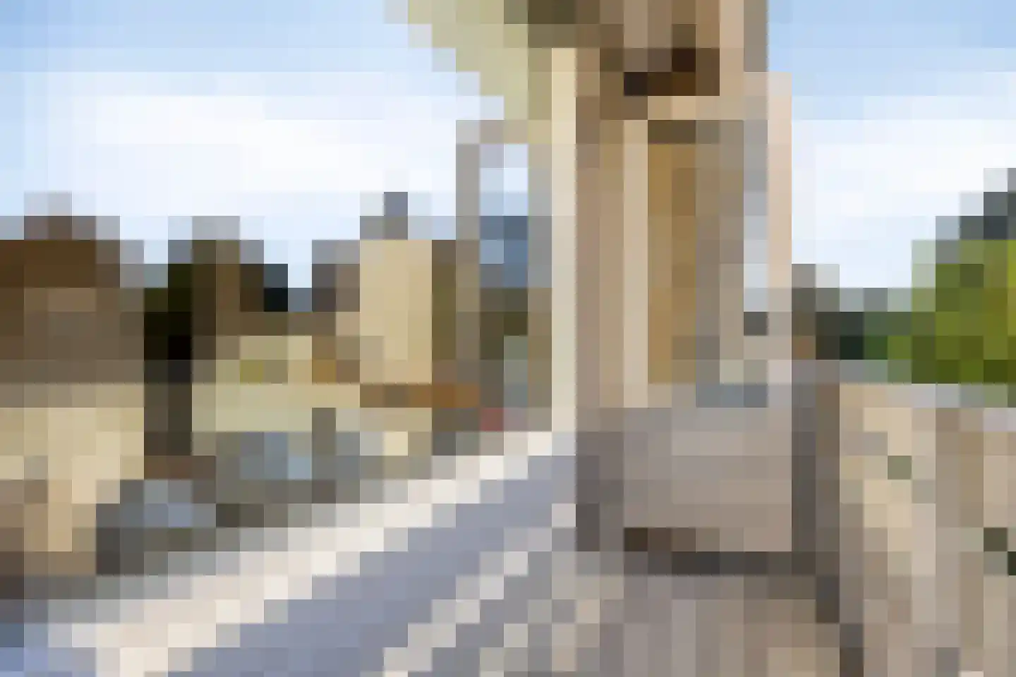 Dodaarslaan 1 Vinkeveen thumbnail 19