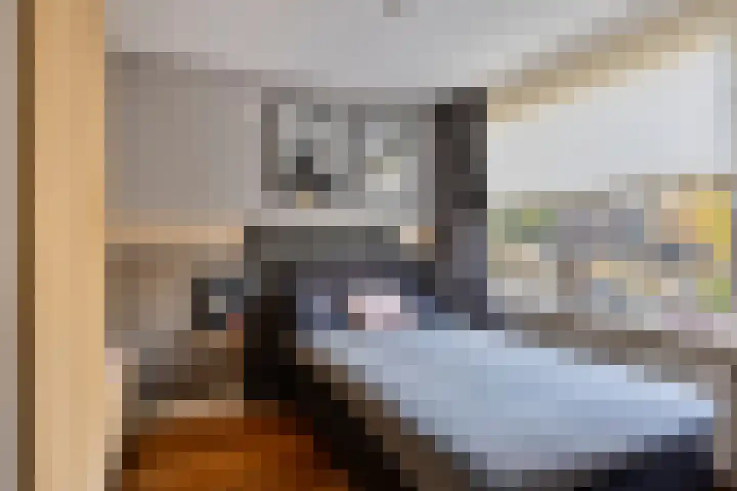 Dodaarslaan 1 Vinkeveen thumbnail 20