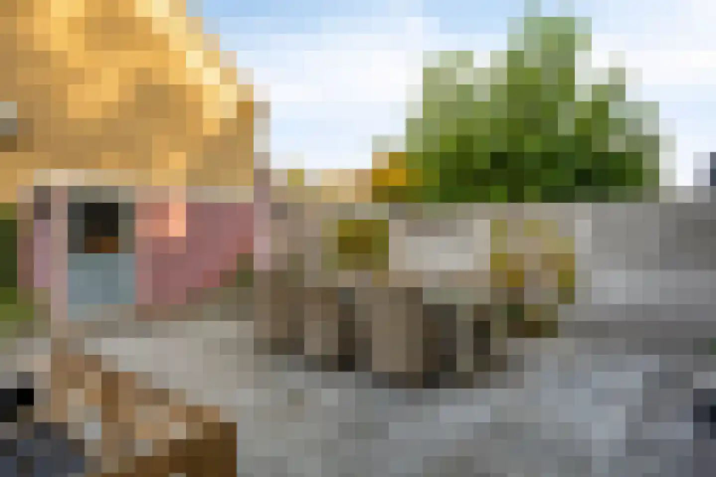 Dodaarslaan 1 Vinkeveen thumbnail 28