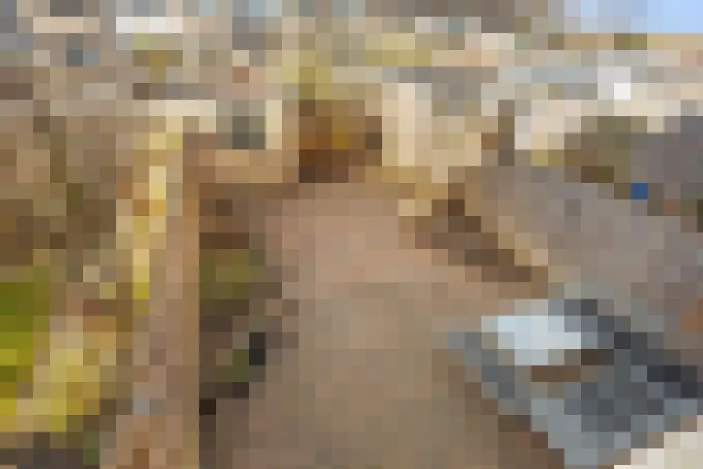 Dodaarslaan 104 Vinkeveen thumbnail 37