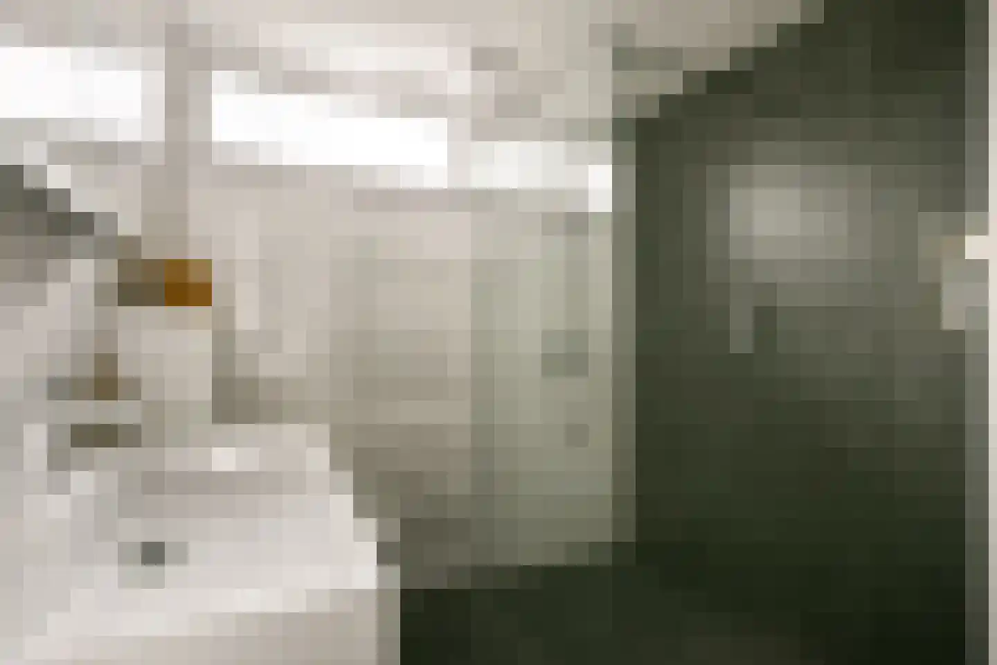 Dodaarslaan 124 Vinkeveen thumbnail 18