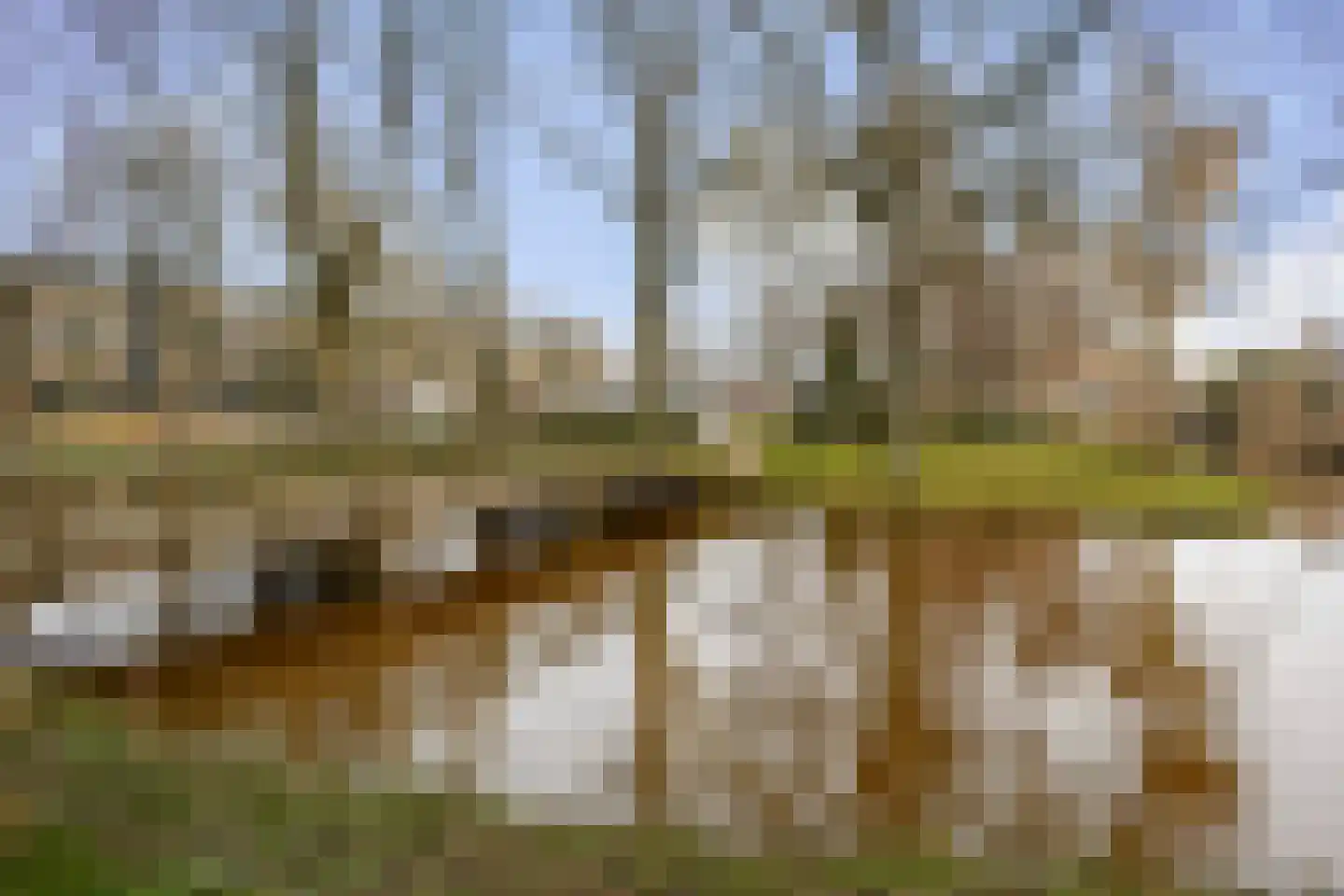 Dodaarslaan 124 Vinkeveen thumbnail 26