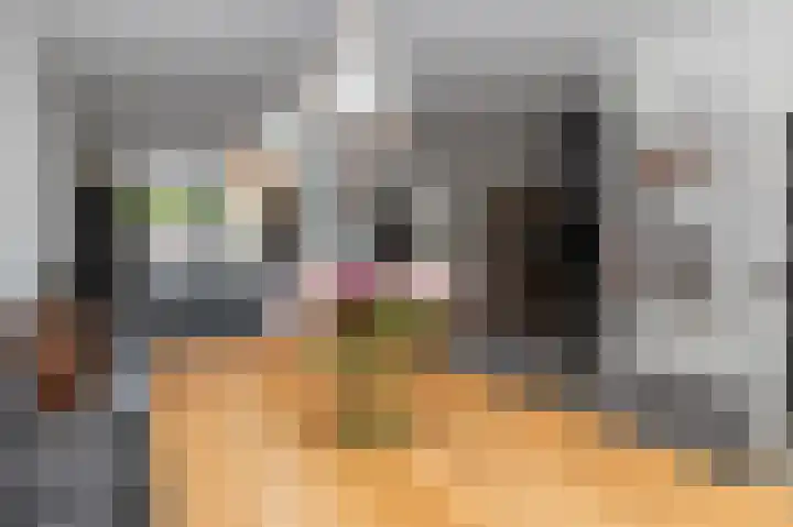 Dodaarslaan 13 Kortenhoef thumbnail 10