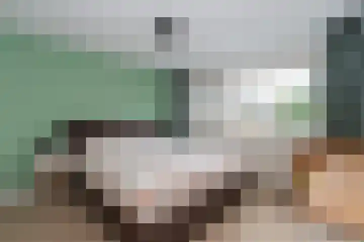 Dodaarslaan 13 Kortenhoef thumbnail 11