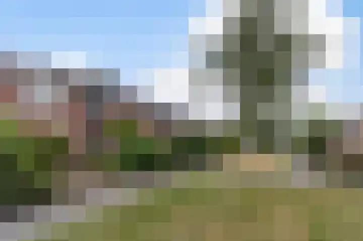 Dodaarslaan 13 Kortenhoef thumbnail 21