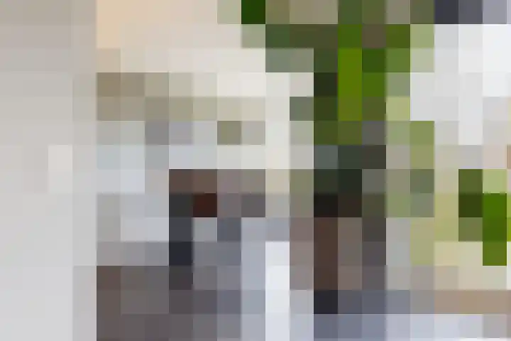 Dodaarslaan 146 Vinkeveen thumbnail 16
