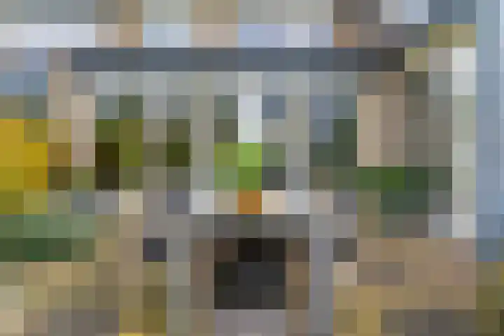 Dodaarslaan 146 Vinkeveen thumbnail 45