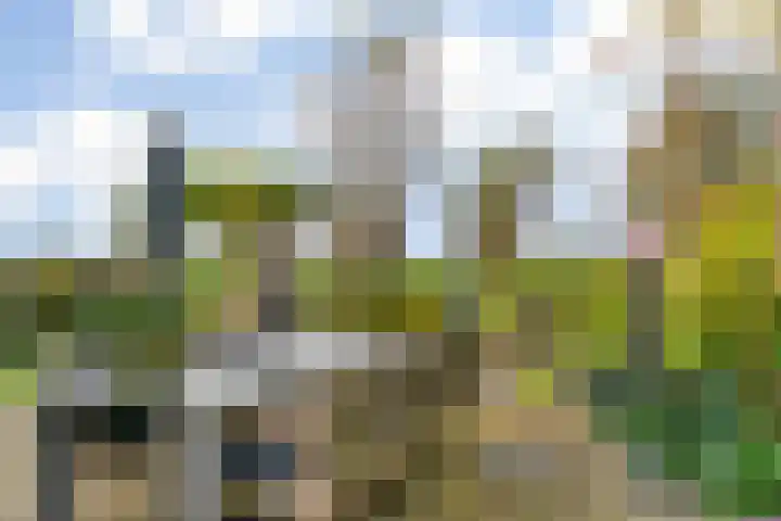 Dodaarslaan 146 Vinkeveen thumbnail 46