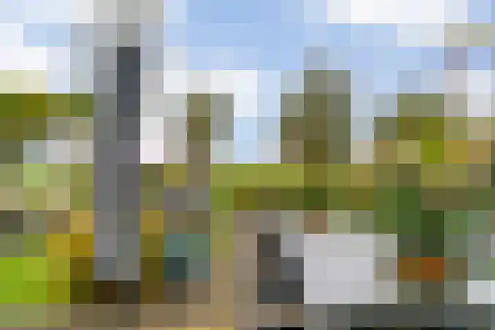 Dodaarslaan 146 Vinkeveen thumbnail 47