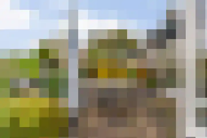 Dodaarslaan 146 Vinkeveen thumbnail 48