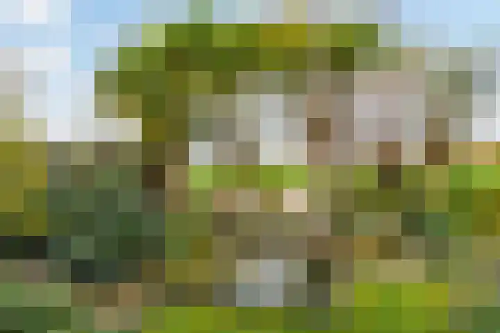 Dodaarslaan 146 Vinkeveen thumbnail 49