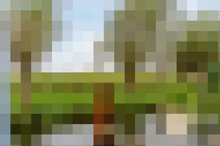 Dodaarslaan 146 Vinkeveen thumbnail 50