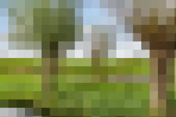 Dodaarslaan 146 Vinkeveen thumbnail 51