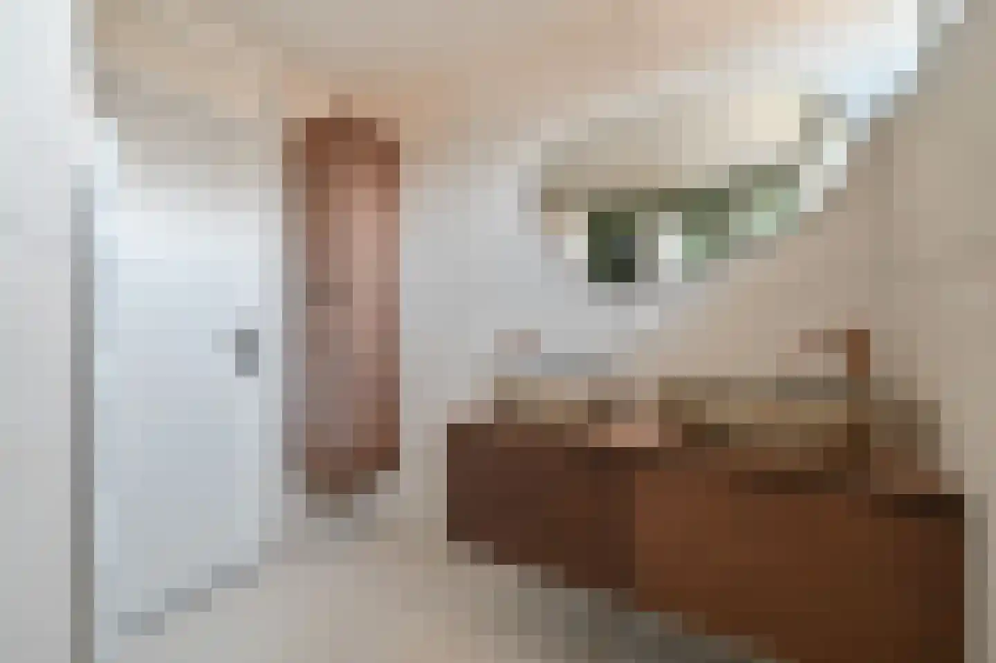 Dodaarslaan 25 Vinkeveen thumbnail 20