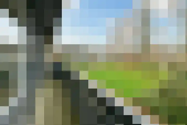 Dodaarslaan 52 Vinkeveen thumbnail 15