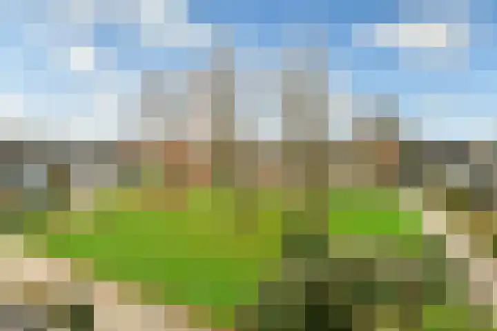 Dodaarslaan 52 Vinkeveen thumbnail 16