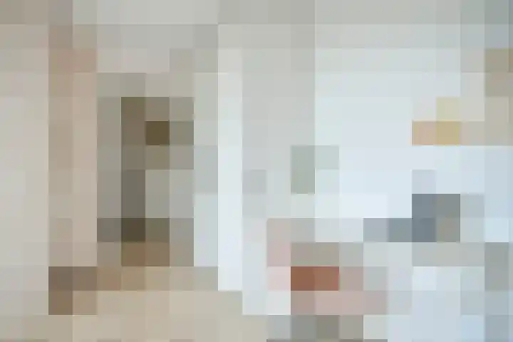 Dodaarslaan 52 Vinkeveen thumbnail 19