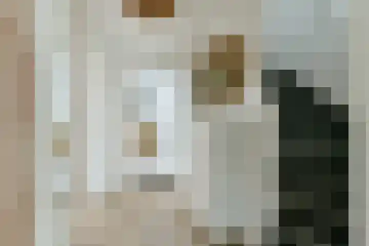 Dodaarslaan 52 Vinkeveen thumbnail 22