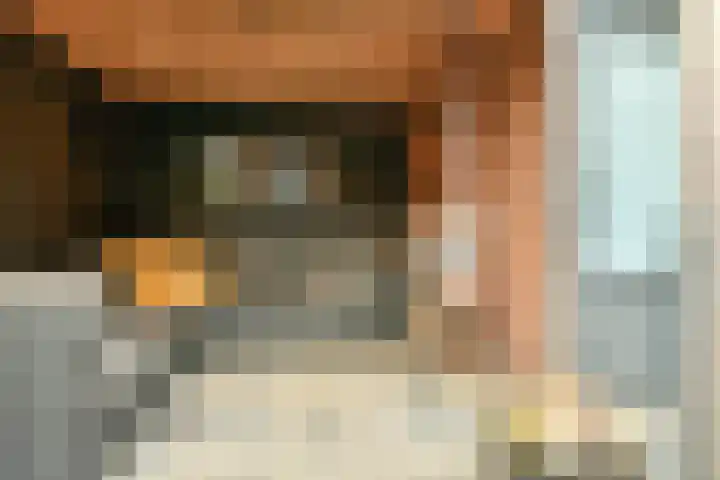 Dodaarslaan 52 Vinkeveen thumbnail 30