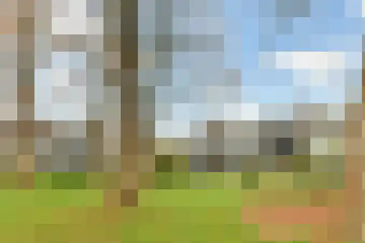 Dodaarslaan 52 Vinkeveen thumbnail 35