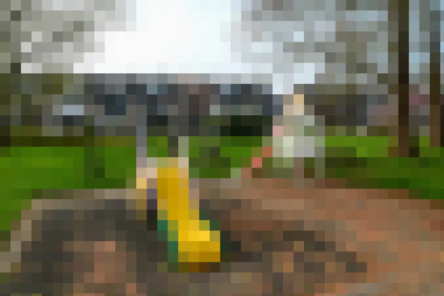 Dodaarslaan 77 Vinkeveen thumbnail 29