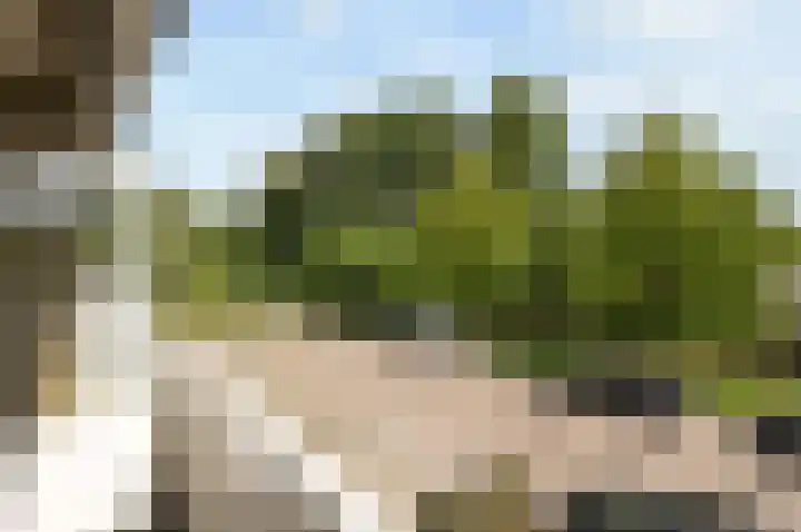 Dodaarslaan 9 Vinkeveen thumbnail 13