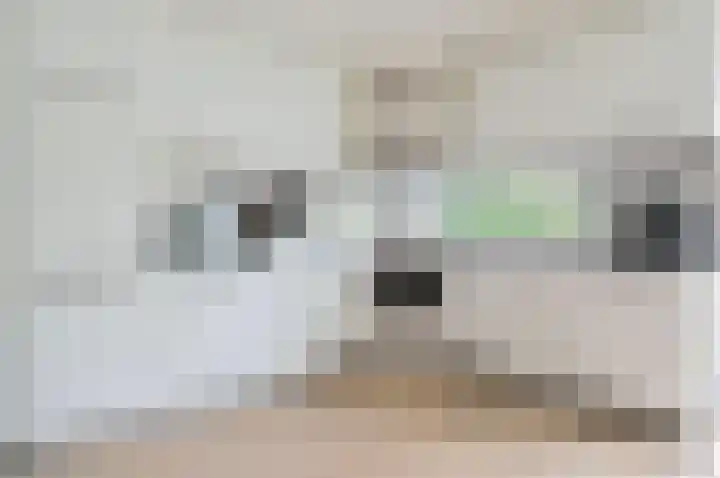 Dodaarslaan 9 Vinkeveen thumbnail 9