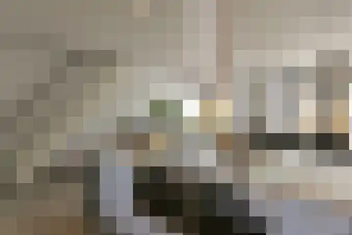 Dodaarslaan 95 Vinkeveen thumbnail 10