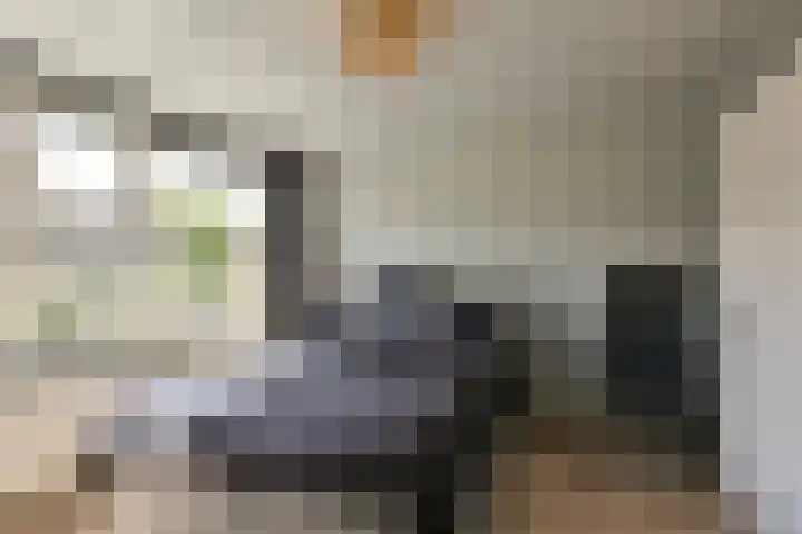 Dodaarslaan 95 Vinkeveen thumbnail 12
