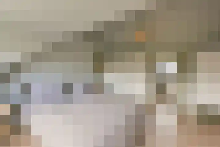 Dodaarslaan 95 Vinkeveen thumbnail 21