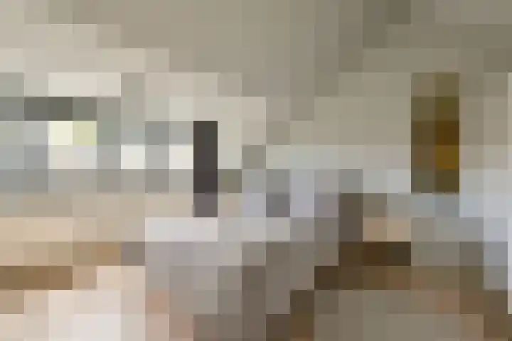 Dodaarslaan 95 Vinkeveen thumbnail 22