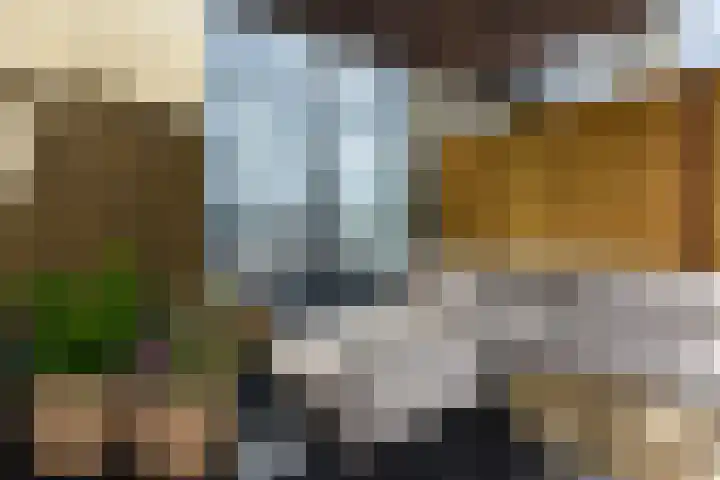 Dodaarslaan 95 Vinkeveen thumbnail 27