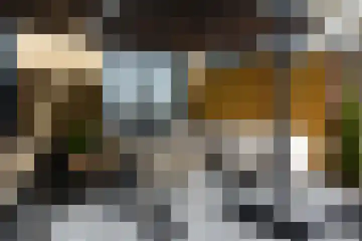 Dodaarslaan 95 Vinkeveen thumbnail 28