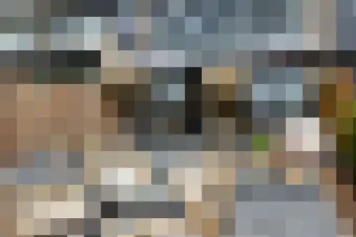 Dodaarslaan 95 Vinkeveen thumbnail 30