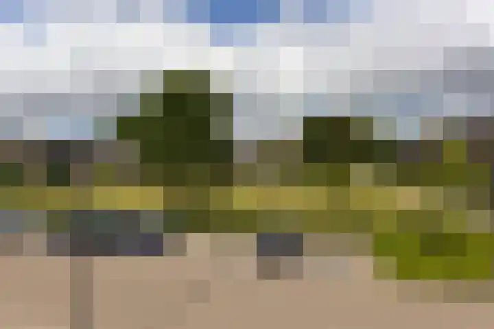 Dodaarslaan 95 Vinkeveen thumbnail 35