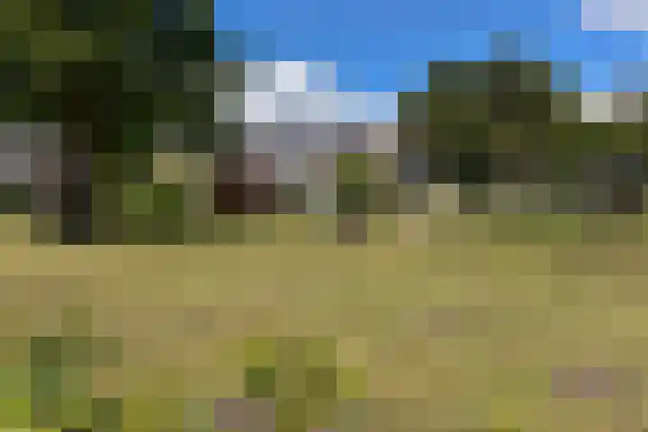 Dodaarslaan 95 Vinkeveen thumbnail 36