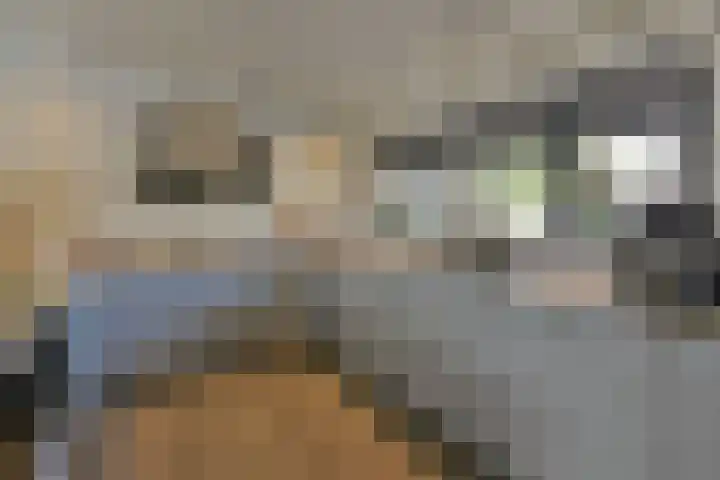 Dodaarslaan 95 Vinkeveen thumbnail 9